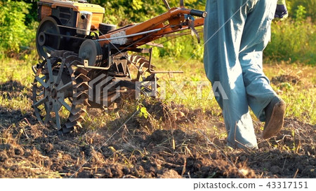 Man works in the garden with motorized unit motoblock - type of small-sized tractor, used in the Man works in the garden with motorized unit motoblock - type of small-sized tractor, used in the 43317151