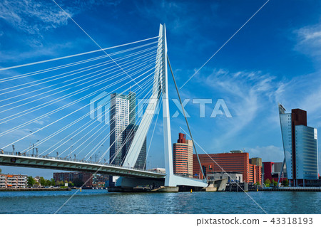 Rotterdam cityscape, Netherlands 43318193