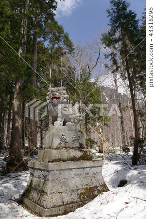 Shiba Inu in a thawed forest Shiba Inu in a thawed forest 43318296