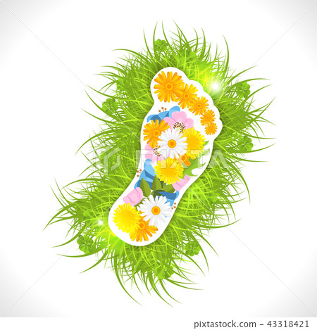 Footprint from flowers in green grass 43318421