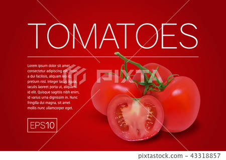 Three ripe red tomatoes on a branch - Stock Illustration [43318857] - PIXTA