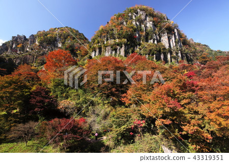 岩石塔被看見在五顏六色的森林 岩石塔被看見在五顏六色的森林 43319351