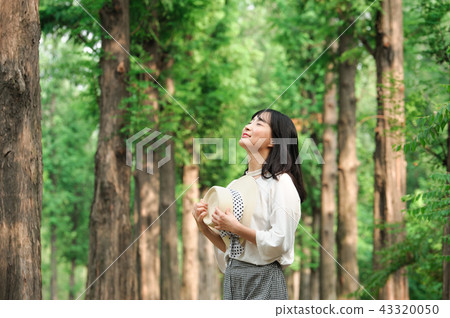 年輕的女人 年輕的女人 43320050