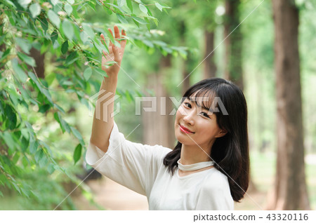 年輕的女人 年輕的女人 43320116
