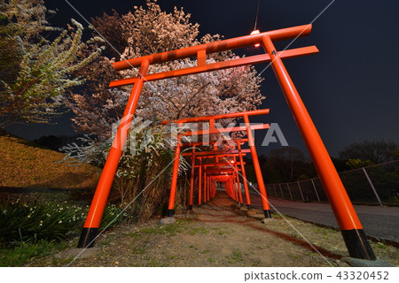 Maru Takinari Shrine 43320452
