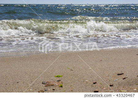 august, background, beach 43320467