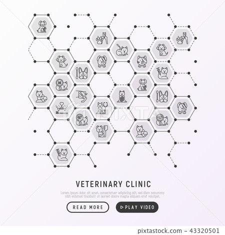 Veterinary clinic concept in honeycombs 43320501