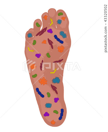 Mysterious bacteria attached to my feet 43320502