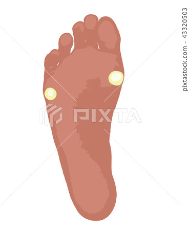 Tako foot sole 43320503