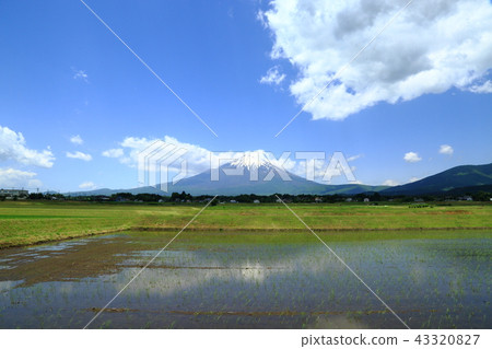 Mount Fuji  43320827