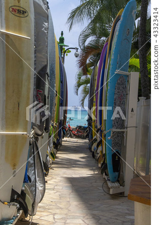 Road to Waikiki Beach 43323414