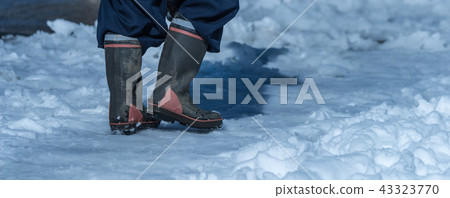 冬天的雪 43323770