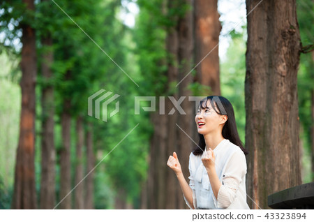 年輕的女人 年輕的女人 43323894