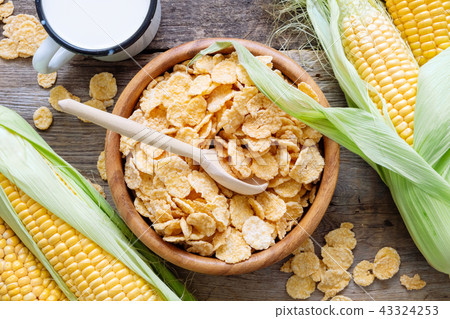 Corn flakes in bowl, mug of milk and corncobs. Corn flakes in bowl, mug of milk and corncobs. 43324253