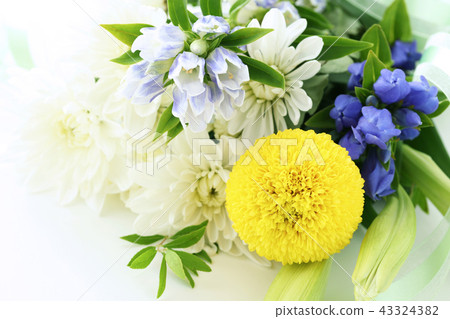 A bouquet of offerings 43324382