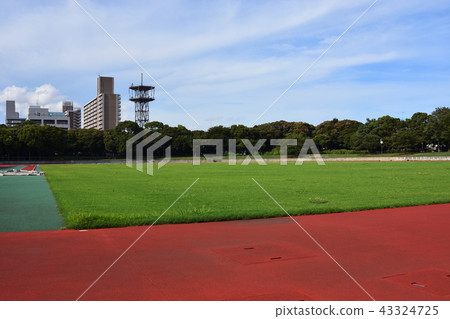 Field of athletics field Field of athletics field 43324725