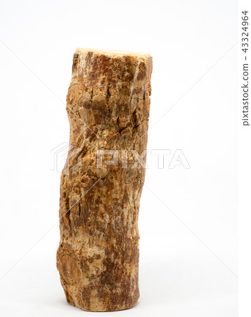Thanaka wood on white background Thanaka wood on white background 43324964
