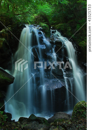 Japan's Waterfall _ Shiga Prefecture _ Chicken Naruto Waterfall Japan's Waterfall _ Shiga Prefecture _ Chicken Naruto Waterfall 43325733