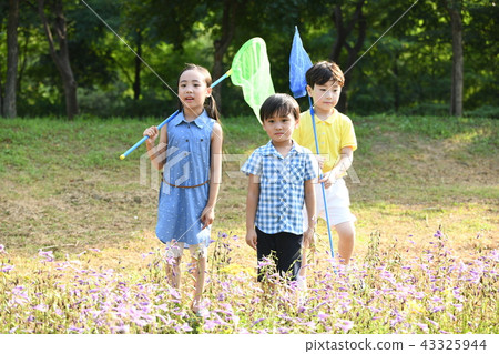 Children picking insects Children picking insects 43325944