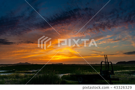 紅色發光的領域 43326329