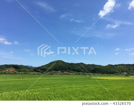 Rural scenery Mika city Akiyoshicho 43326570