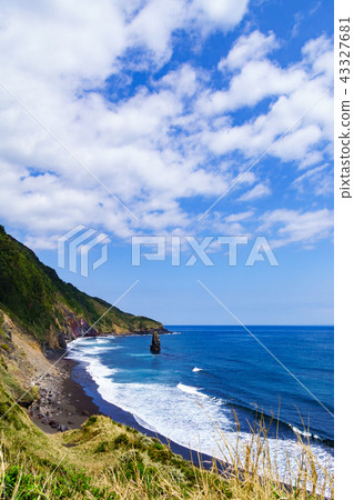 [Tokyo] Brush island of Izu Oshima 43327681