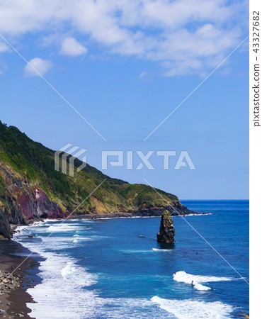[Tokyo] Brush island of Izu Oshima 43327682