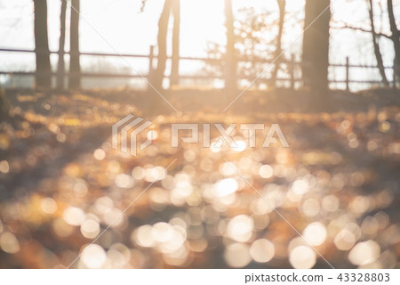 Abstract soft and unfocused design background 43328803