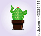 Decorative cactus with prickles on the white background. Home plant in pot. Flat style icon 43329456