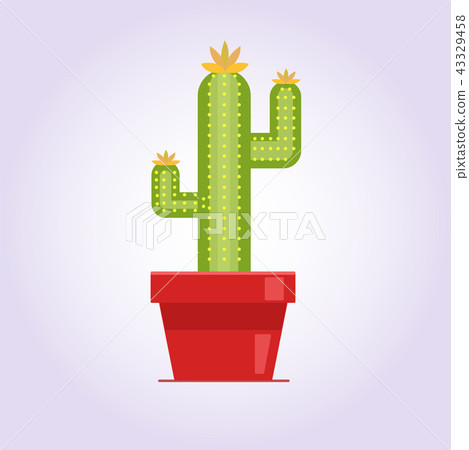 Decorative cactus with prickles on the white background. Home plant in pot. Flat style icon 43329458
