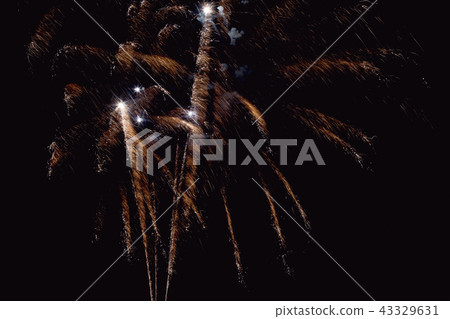 Colorful firework on the night sky Colorful firework on the night sky 43329631