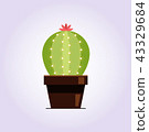 Decorative cactus with prickles on the white background. Home plant in pot. Flat style icon 43329684