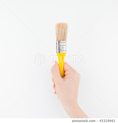 Woman hand holding new paint brush isolated 43329942