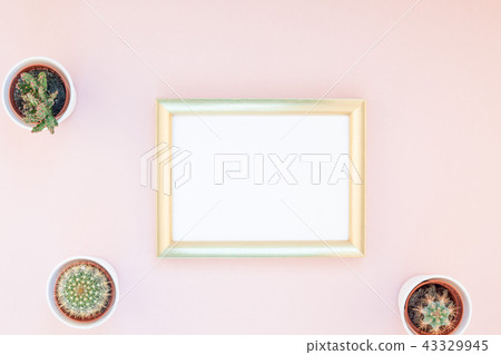 Frame mock up with decorative cactuses Frame mock up with decorative cactuses 43329945