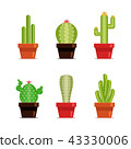 Decorative cactus set with prickles on the white background. Home plants cactus in pots and with 43330006