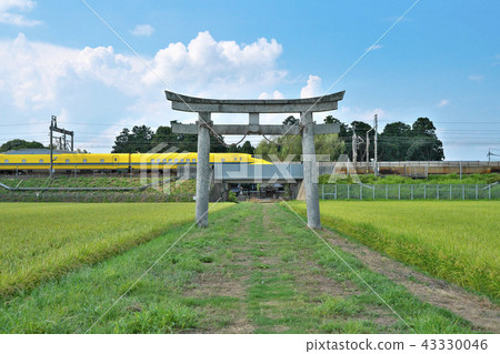 黃醫生去果實秋天 43330046