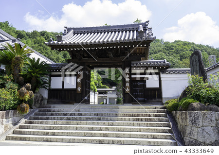 Mogami Inari 43333649