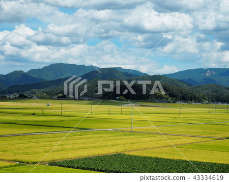 豐岡的田園風光 豐岡的田園風光 43334619