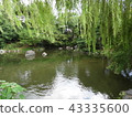 garden pond 43335600