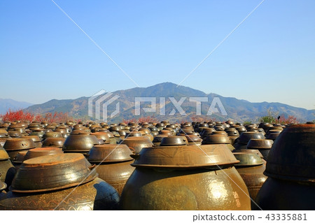 Plum, Spring, Plum Blossom, Plum Village, 43335881