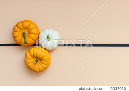 Fall background with small pumpkins Fall background with small pumpkins 43337010