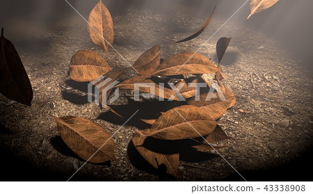 Fallen leaves  43338908