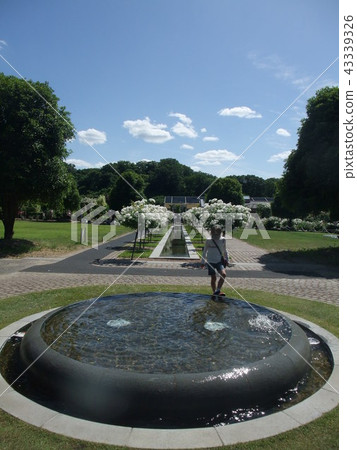 Summer park fountain and children Summer park fountain and children 43339326