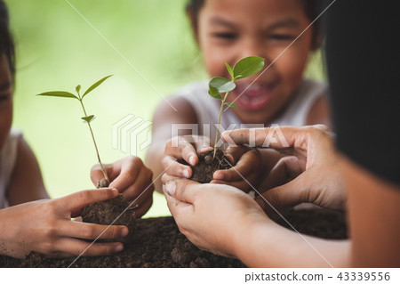 mother and daughter holding young tree 43339556