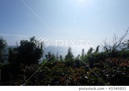 三浦半島初夏海洋陽光藍天 43340803