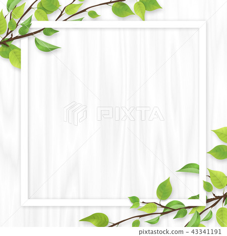 Fresh green leaves white frame white wood Fresh green leaves white frame white wood 43341191