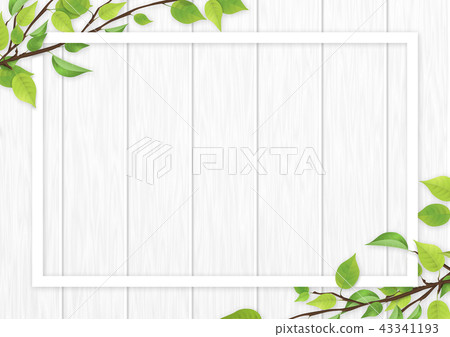 Fresh green leaves white frame Fresh green leaves white frame 43341193