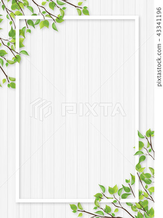 Fresh green leaves white frame Fresh green leaves white frame 43341196