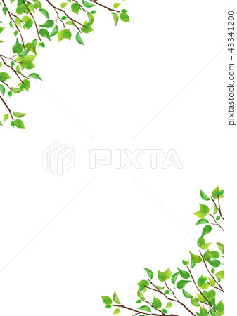 Fresh green leaves green background (PNG, cutout material) 43341200