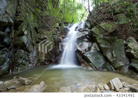 御手洗瀑布（第2瀑布）（佐賀縣鳥棲市） 43341491